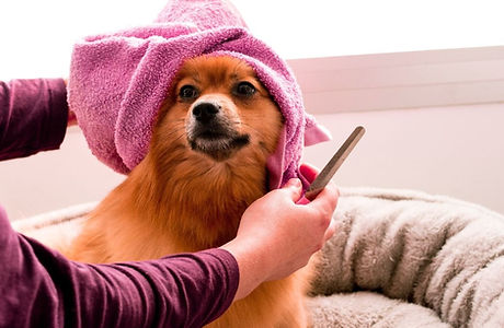 d6287d44-781d-4063-b3ce-7b58ed437069 (1).jpg