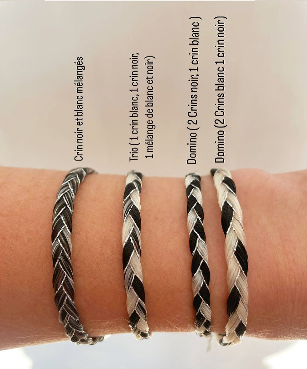 Thumbnail: Horsehair bracelet