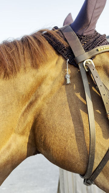 Miniature : Lucky Charms