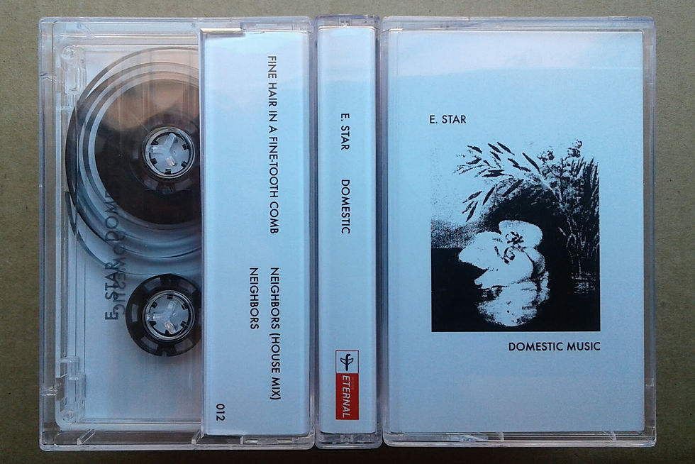 Thumbnail: E. Star - Domestic Music