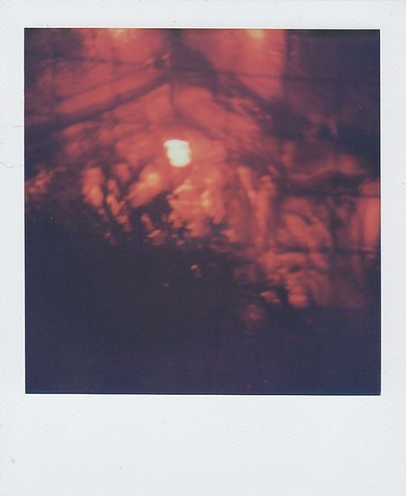 Polaroid Ghetto Golf Weed.jpg