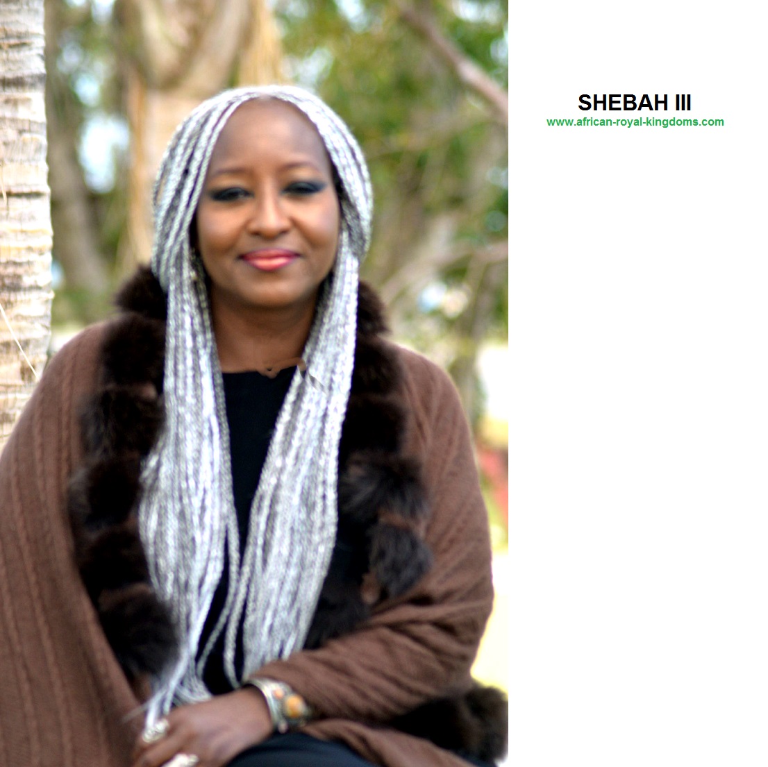 House Of Sheba AACID Community houseofsheba