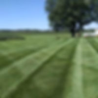 10355385_10152696930519168_3273631459836393957_n