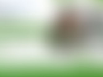 quickbooks desktop won't open