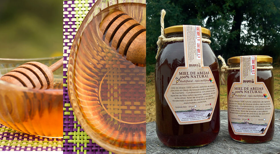 Combo Miel de abejas