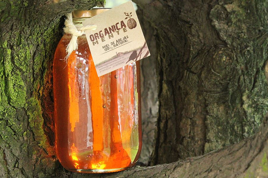 Frasco Miel de abejas