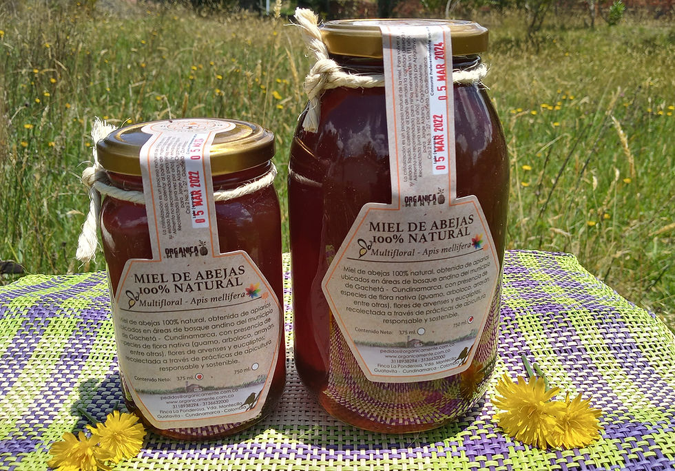 Miel de abejas 2 tamaños