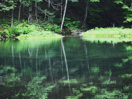 The music of deep ecology