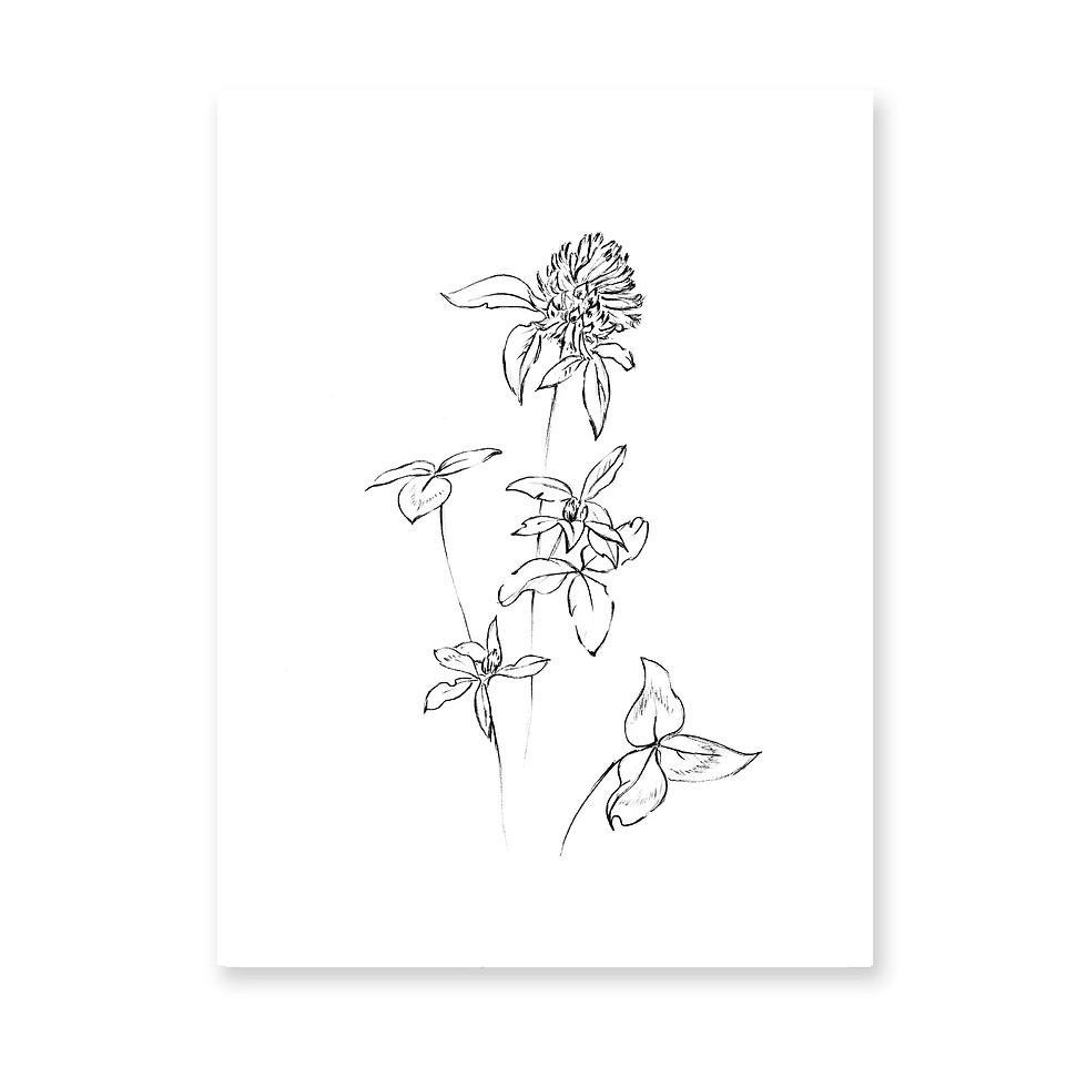 Thumbnail: Black White Botanical Spikelet Sketch One Line Drawing Canvas Posters Wild Herb 