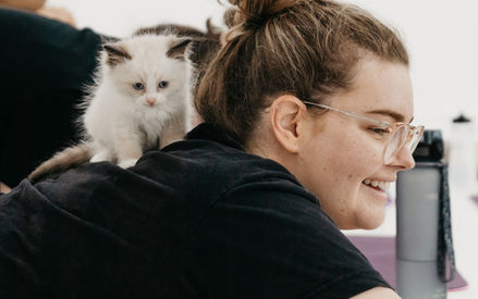 Lying down yoga pose with fluffy kittens snuggling near shoulders