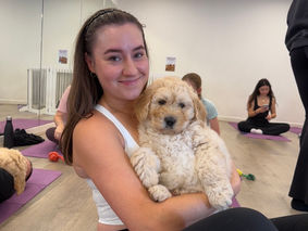 Participant at a Yoga Paws Adelaide session holding a Groodle puppy