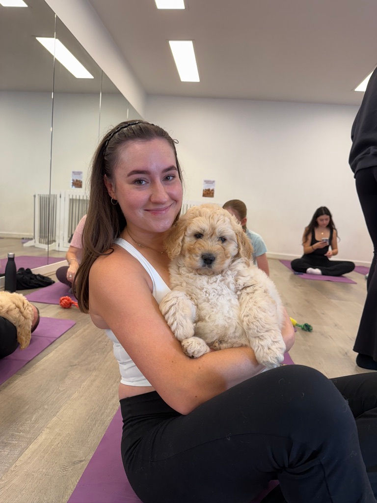 Participant at a Yoga Paws Adelaide session holding a Groodle puppy