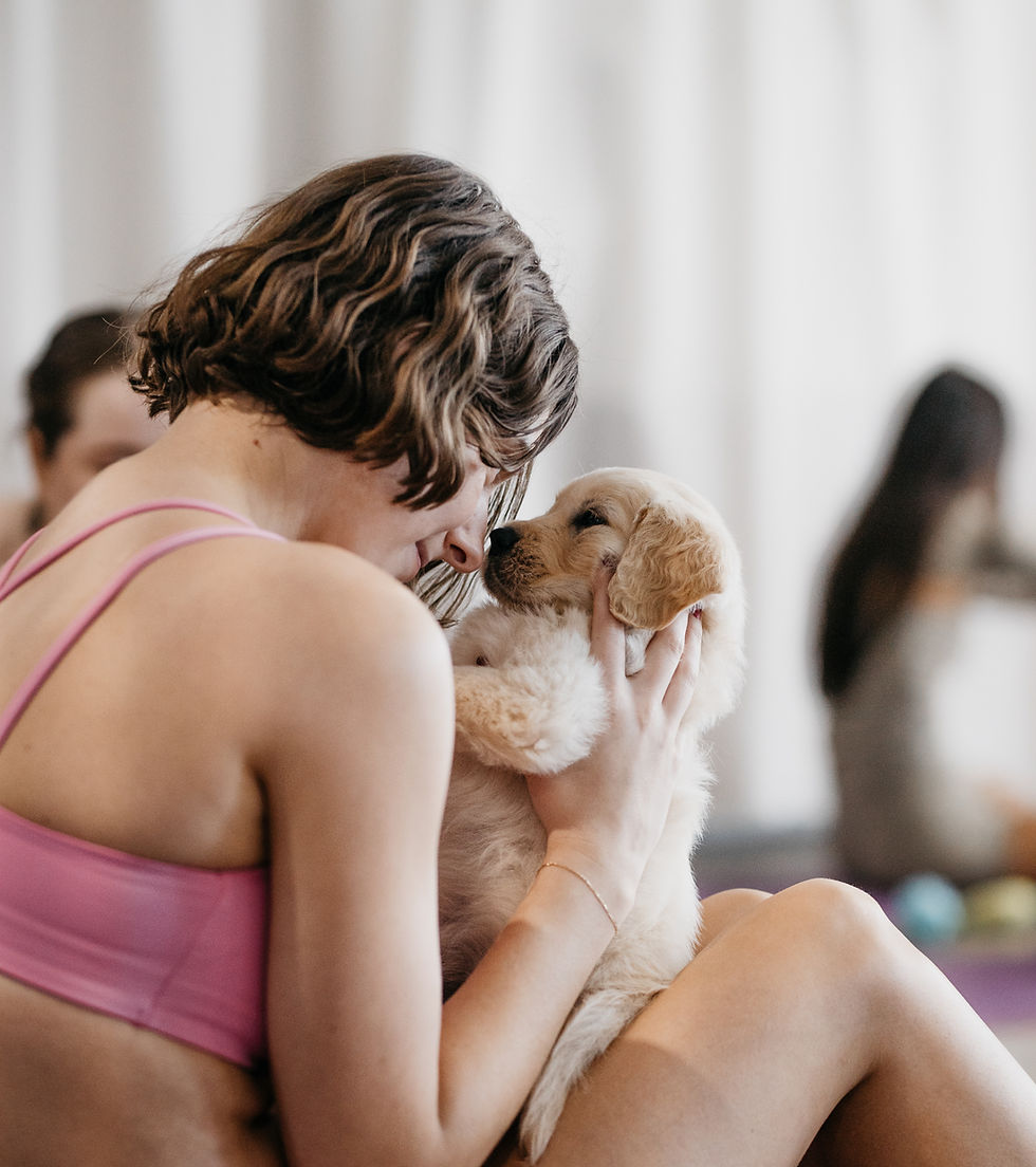 Participant holding a golden retriever at puppy yoga in Australia