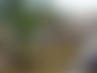 ㊙️四大變種病毒；黑歷史！拜登國務卿布林肯是黨的老朋友；26日起進美國有條件；拜登預言彈劾川普結果；美東北多地斷網；中共為何大建邊境牆？萬民步行進京；上海復陽多，張文宏語出驚人