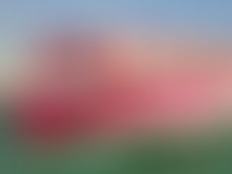 💥中國出發1900集裝箱突落海！紅三代作證假票印刷；害怕川普訪台灣？環時發警告；FBI突襲搜證！繳獲涉大選8張硬碟；朱利安尼感染無大礙；巴爾辭職？要看川普；疫情襲東莞人忽倒地