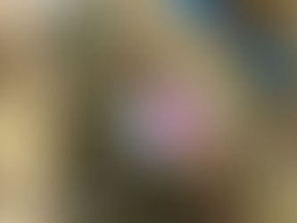 ㊙️江澤民派系向海外自曝家醜？解析意圖；歐盟明確表態：站美國一邊，幫台灣正名！在中國開公司，小拜登如何沾光老拜登？中共搬出「新四大發明」；美國「獵殺型」無人機中隊，隊徽有深意 