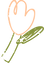 Asset 20.png