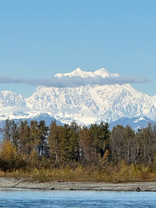IMG_0448.jpg