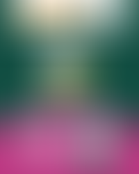 🍜 Special Noodle Deal at U Supermarket!