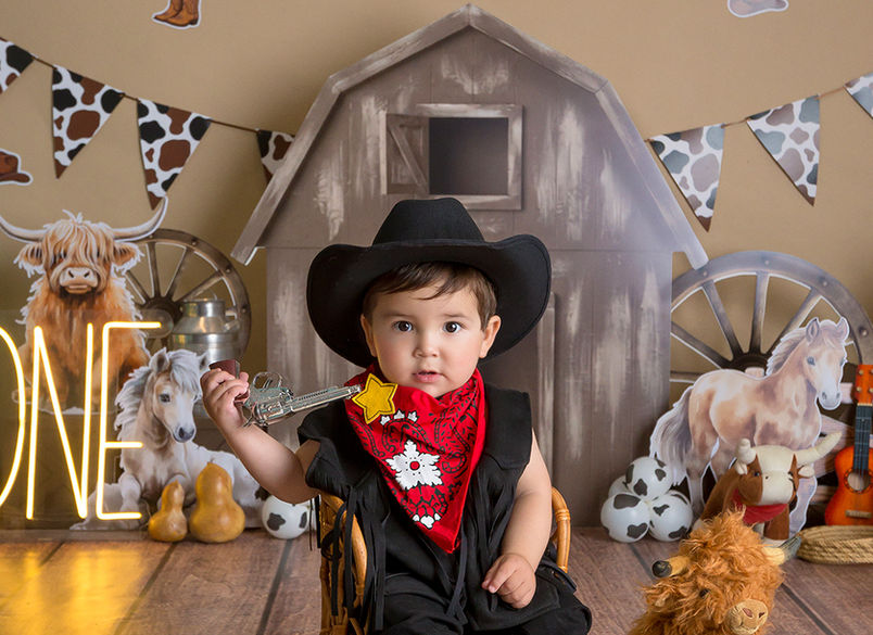 fotógrafo de bebés metepec toluca calimaya smash cake babys sitter