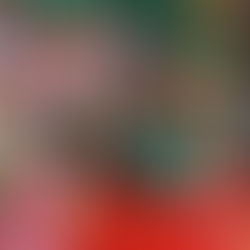 Sesiones Navideñas 2022 Toluca