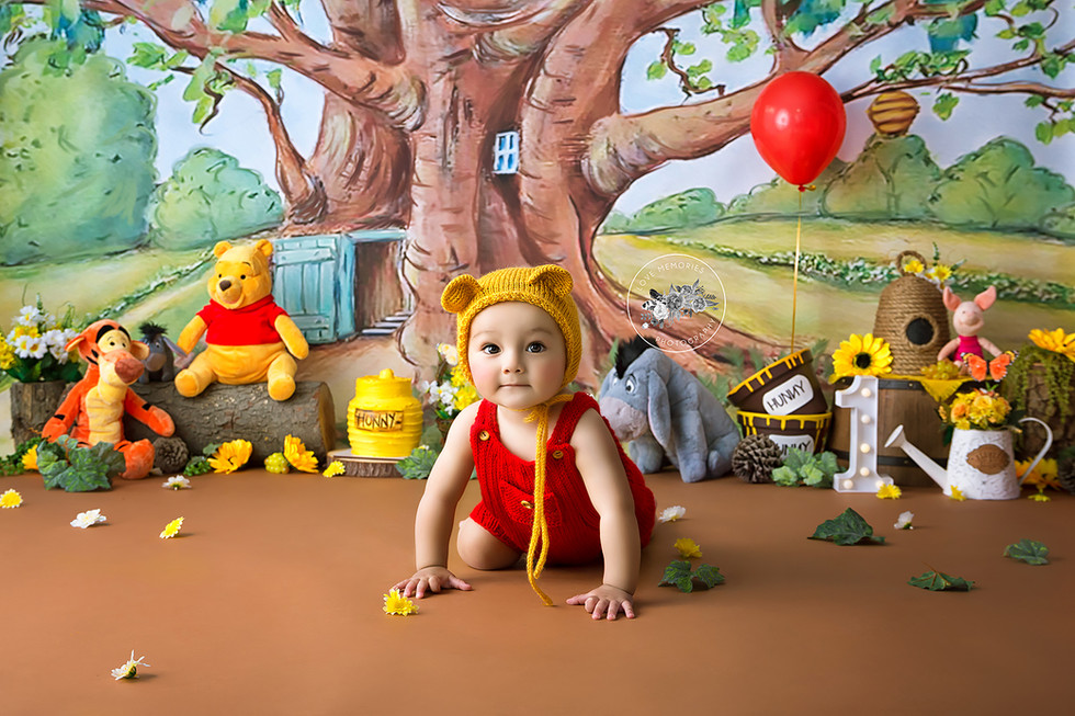 smash cake toluca metepec calimaya fotografo bebes love memories photography estudio santiago aguilera edith esquivel photography sel photography vizual mexico babys sitter newborn bautizo