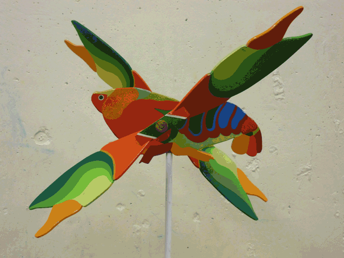 P1050187.gif