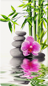 feng shui