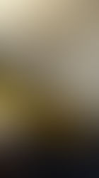 ジジジジ、ジー