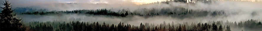 IMG_20251211_102557_165~2_edited_edited.