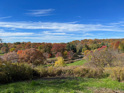 View from a hill in the Cornell Botanical Garden with fall colors under a blue sky streaked with white clouds.