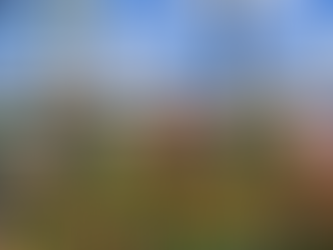 Outdoor Kitchens at Flower & Garden Festival