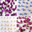 Miniature : FLOWERS - Collier bohème avec 4 charms en fleurs naturelles