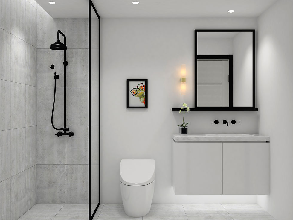 toilet2