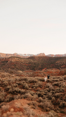 stunning places for a wedding near Zion National Park.png