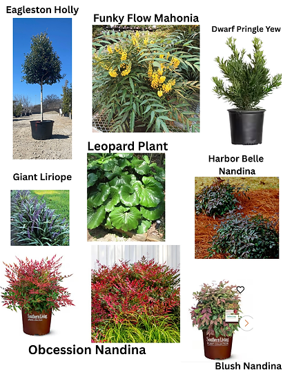 Copy of Eagleston Holly.png