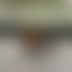 Spielbericht männliche E-Jugend vom 15.03.2026