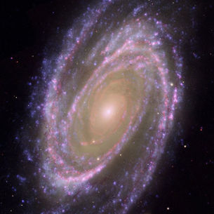 Неймовірне зображення галактики M81: майстер-клас космічних телескопів