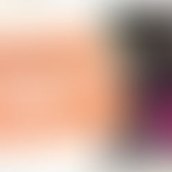 小農餐桌 2019年成果報告