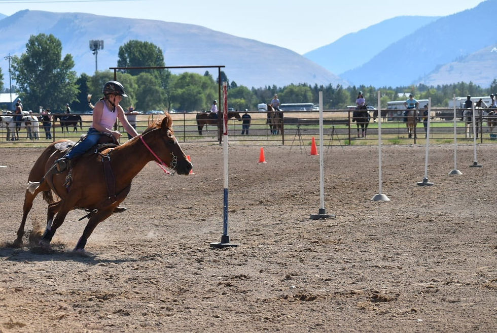 Family Fun Omoksee #3