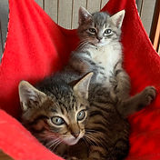 IMG_6156 2_edited.jpg