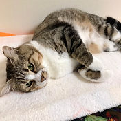 IMG_6156 2_edited.jpg