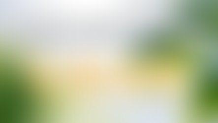 釋迦牟尼佛的金言不論何時何地都不改變的真實「有無同然」