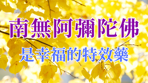 南無阿彌陀佛是幸福的特效藥