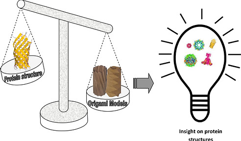 Graphical Abstract - Compare proteins and origami models