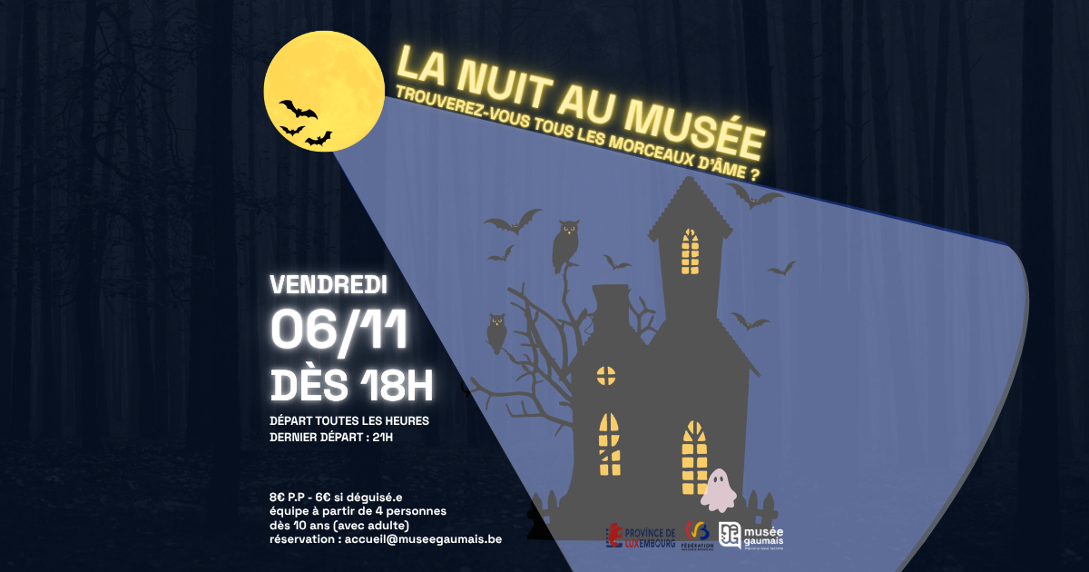 La nuit au musée