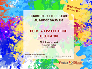 Stage Tout en couleur