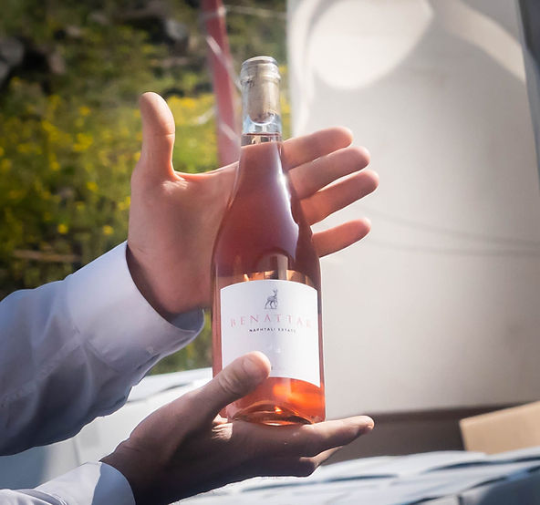 רוזה- יקב בן עטר