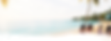 The Hendy Tribe Foundation-3.png