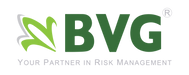 BVG Group Transparent-01 (1).png